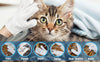 AimPaw™ Pet Gloves
