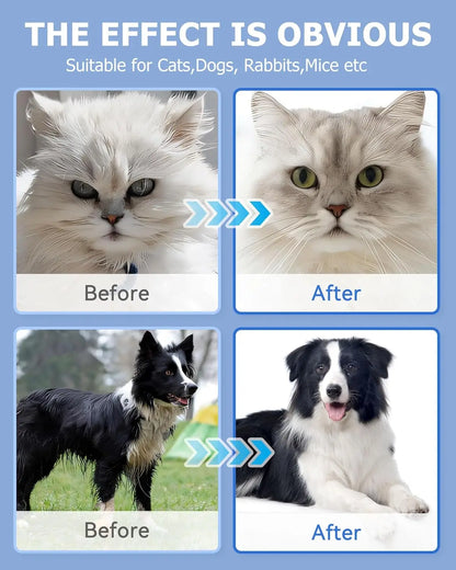 AimPaw™ All-In-One Gloves