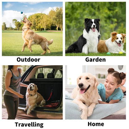 AimPaw™ All-In-One Gloves