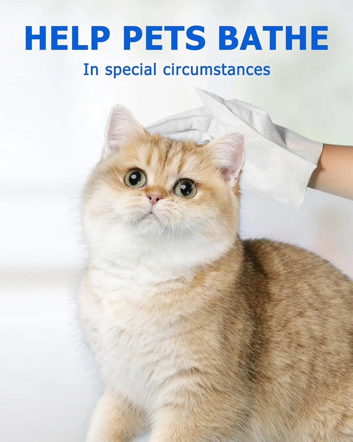 AimPaw™ All-In-One Gloves