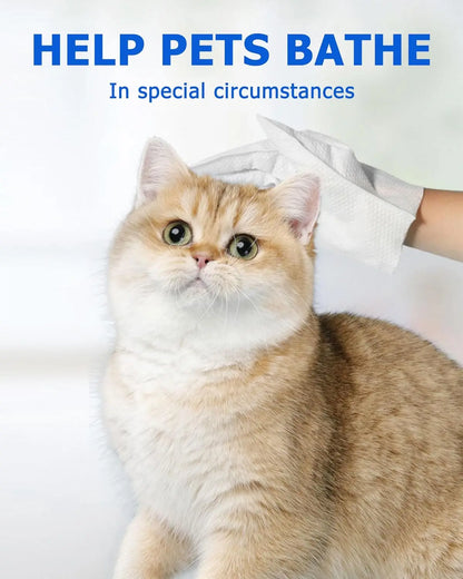 AimPaw™ All-In-One Gloves